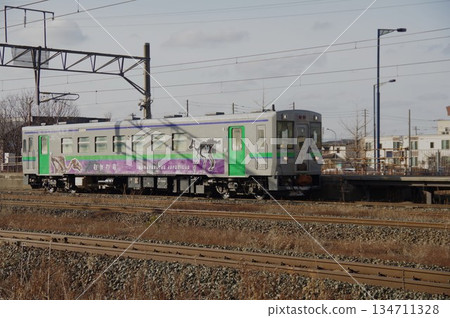 Mukawa Dragon Wrapping Train 134711328