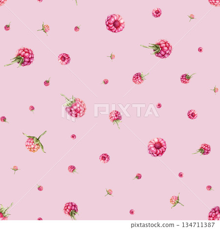 Watercolor seamless pattern with Raspberries and blackberries. Hand drawing illustration red berries. Graphic design element isolated on white background. 134711387