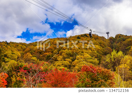 新穗高（十月秋葉） 134712156