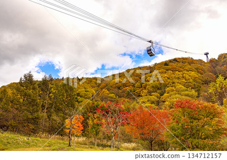 新穗高（十月秋葉） 134712157