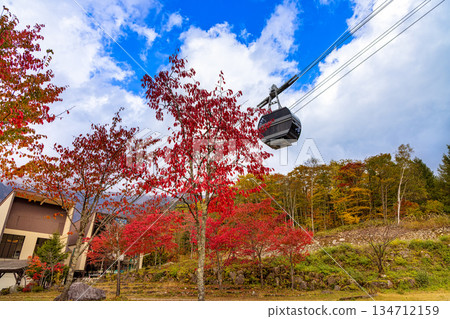 新穗高（十月秋葉） 134712159