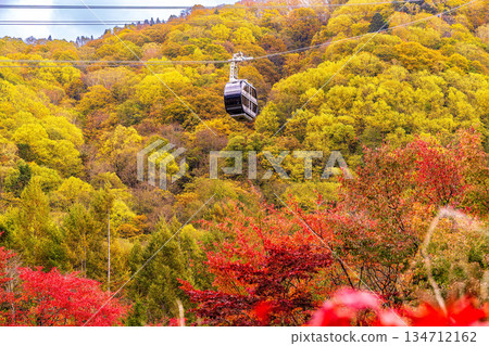 新穗高（十月秋葉） 134712162