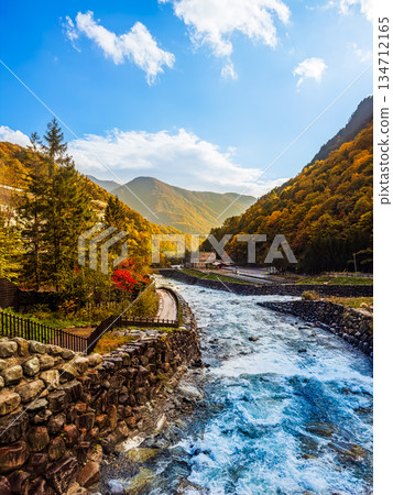 新穗高(十月秋葉) 新穗高(十月秋葉) 134712165