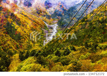 新穗高（十月秋葉） 134712172