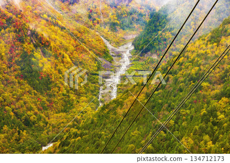 新穗高(十月秋葉) 新穗高(十月秋葉) 134712173