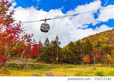 Shinhotaka (October Autumn leaves) Shinhotaka (October Autumn leaves) 134712184