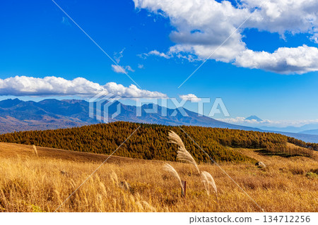 從車間山高原眺望富士山(十月,晴空萬裡) 從車間山高原眺望富士山(十月,晴空萬裡) 134712256
