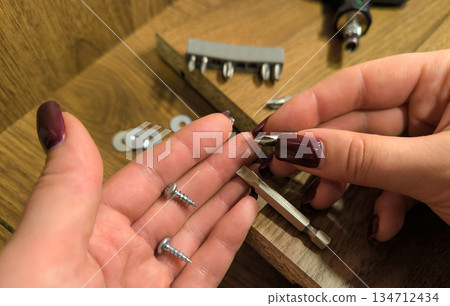 Small parts for furniture assembly against a background of wooden panels. Assembling furniture at home and doing home repairs yourself. High quality photo Small parts for furniture assembly against a background of wooden panels. Assembling furniture at home and doing home repairs yourself. High quality photo 134712434