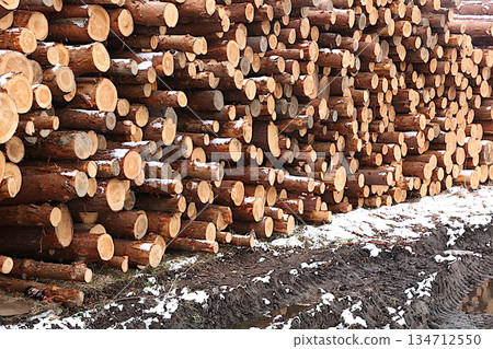 Firewood logs stacked in the street. Industrial firewood harvesting in Russia for heating and construction, an environmentally friendly fuel. Environmental protection concept, rural industriousness 134712550