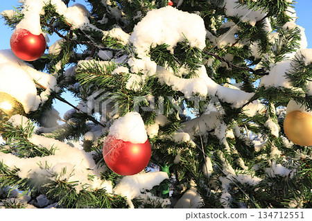 A snow covered Christmas tree outside, decorated for New Year and Christmas. A festive beautiful tree with decorations against a backdrop of live fir trees covered in snow after a snowfall 134712551