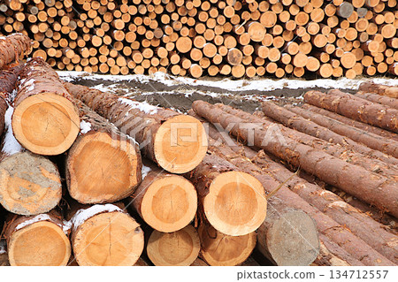 Firewood logs stacked in the street. Industrial firewood harvesting in Russia for heating and construction, an environmentally friendly fuel. Environmental protection concept, rural industriousness 134712557