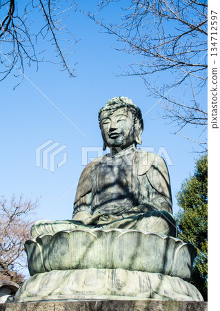 陽光明媚，晴空萬裡，護國寺佛像被冬樹環繞，矗立在明媚的陽光下。 134712597