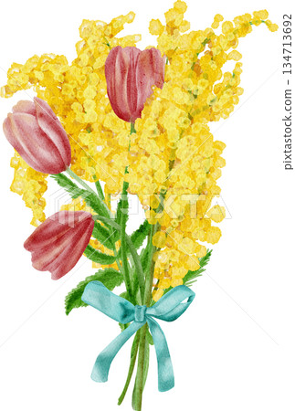 A watercolor painting depicting a bouquet of yellow mimosas and pink tulips A watercolor painting depicting a bouquet of yellow mimosas and pink tulips 134713692
