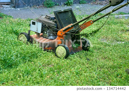 Lawn service.Summer grass cutting with handle lawn mower Lawn service.Summer grass cutting with handle lawn mower 134714442