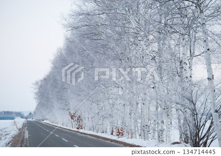  有霧的冰 134714445