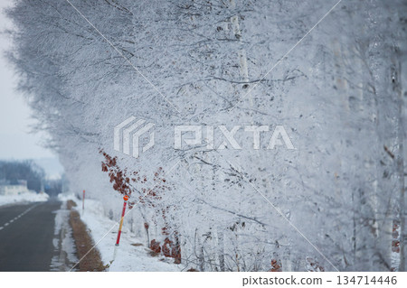  有霧的冰 134714446