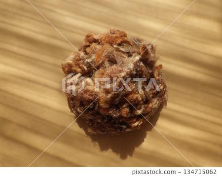 春天的牙線 134715062