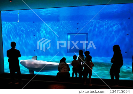 Shimane Prefectural Shimane Aquarium Aquas Shimane Prefectural Shimane Aquarium Aquas 134715094