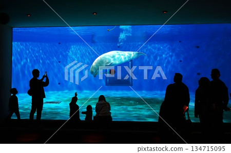Shimane Prefectural Shimane Aquarium Aquas 134715095