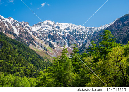 Refreshing Kamikochi "Fresh green larch trees and the Hotaka mountain range" (Matsumoto City, Nagano Prefecture) 134715215