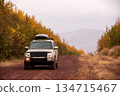 Japanese SUV on scenic autumn road in the forest 134715467