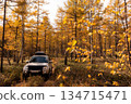 Japanese SUV on an autumn road in a wild forest 134715471