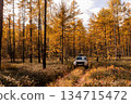 Japanese SUV on an autumn road in a wild forest 134715472