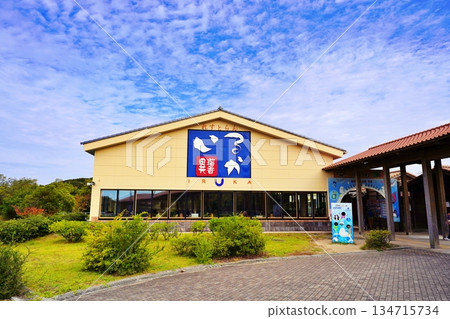 島根縣立島根水族館景色 134715734