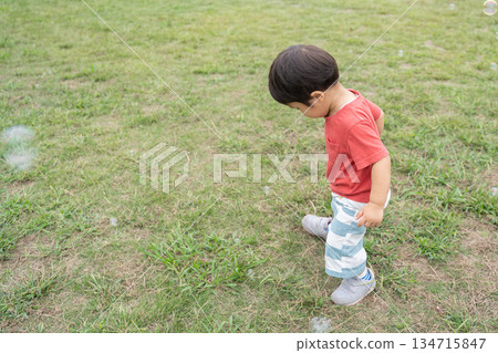 Children playing on the lawn 134715847