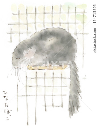 Chinchilla observation, watercolor illustration of a chinchilla (gray) basking in the sun 134715893