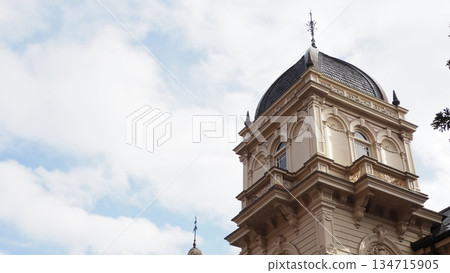 Former Iwasaki residence 134715905