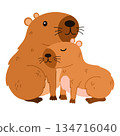 2695_capybara4 134716040