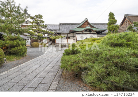 Daikakuji Temple (Kyoto) in winter 134716224