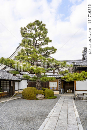 冬季的大覺寺(京都) 冬季的大覺寺(京都) 134716226