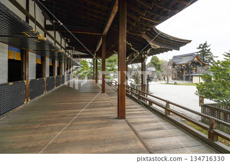 冬季大覺寺（京都）神殿 134716330