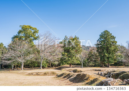 奈良公園飛火野的冬季景色 134716363