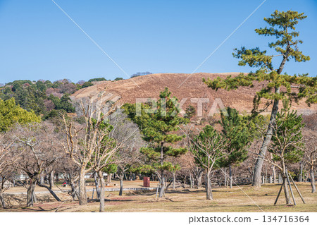 奈良公園浮雲園地 134716364