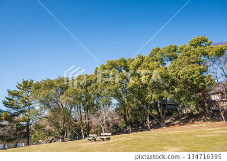奈良公園荒木池花園 奈良公園荒木池花園 134716395