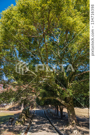 奈良公園荒木池花園 奈良公園荒木池花園 134716398