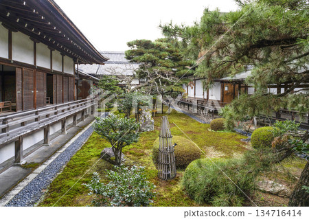 Daikakuji Temple (Kyoto) in winter 134716414