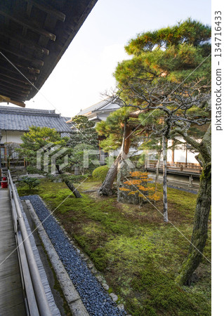 Daikakuji Temple (Kyoto) in winter 134716433
