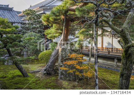 Daikakuji Temple (Kyoto) in winter 134716434