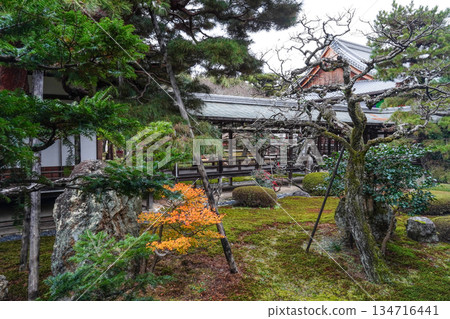 冬季的大覺寺(京都) 冬季的大覺寺(京都) 134716441