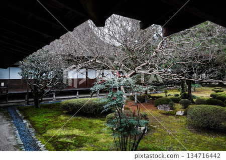 Daikakuji Temple (Kyoto) in winter 134716442