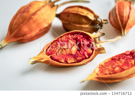 Gardenia fruit on a white background 134716712