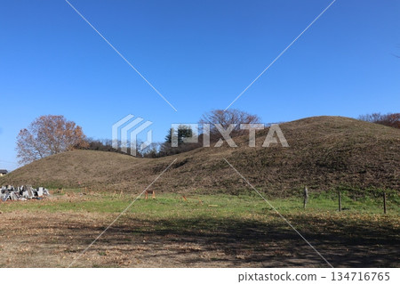 稻荷山墓,埼玉縣墓葬群 稻荷山墓,埼玉縣墓葬群 134716765
