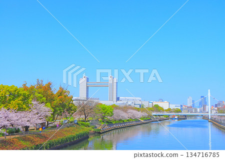 愛知縣名古屋市的春天,櫻花盛開的景色和名古屋國際會議中心 愛知縣名古屋市的春天,櫻花盛開的景色和名古屋國際會議中心 134716785