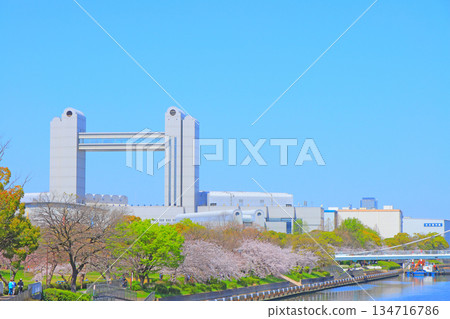 愛知縣名古屋市的春天，櫻花盛開的景色和名古屋國際會議中心 134716786