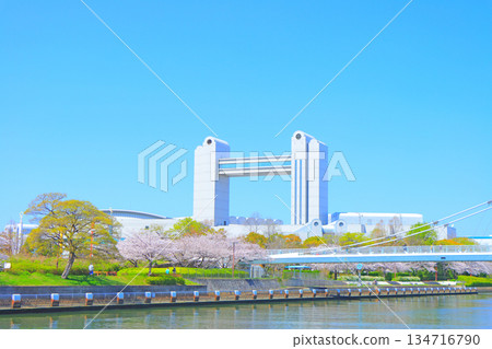 愛知縣名古屋市的春天，櫻花盛開的景色和名古屋國際會議中心 134716790