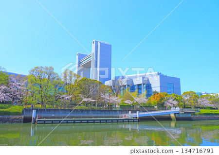 Spring in Nagoya, Aichi Prefecture, with cherry blossoms in full bloom and the Nagoya International Conference Center 134716791
